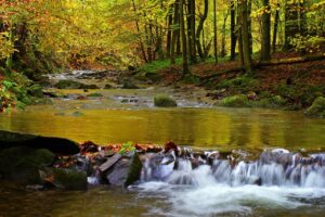 poland, bieszczady, stream hylaty, tourism, nature, mountain stream, waterfall, cascades, autumn, trend, rocks, water, bieszczady, bieszczady, bieszczady, bieszczady, bieszczady, mountain stream, mountain stream, waterfall, waterfall, waterfall