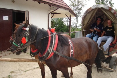 Wyprawa taborowo-dyliżansowa